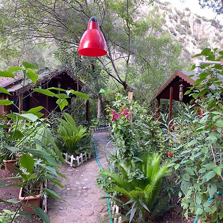 Canario Bungalows Чирали Экстерьер фото