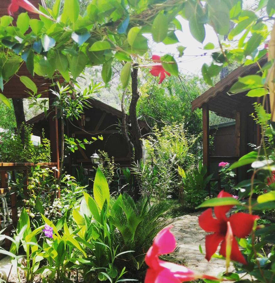 Canario Bungalows Чирали Экстерьер фото