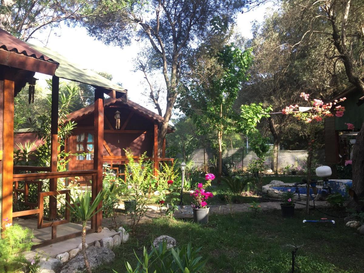 Canario Bungalows Чирали Экстерьер фото