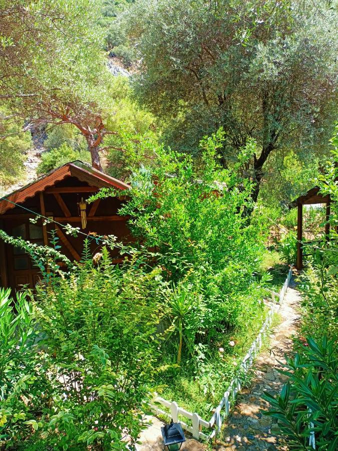 Canario Bungalows Чирали Экстерьер фото