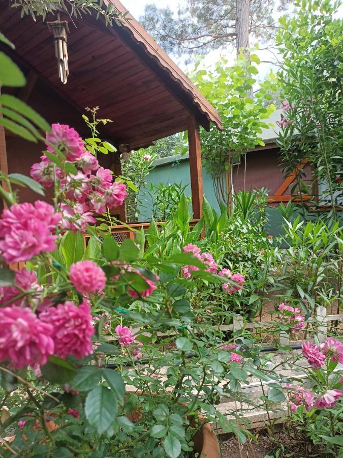 Canario Bungalows Чирали Экстерьер фото
