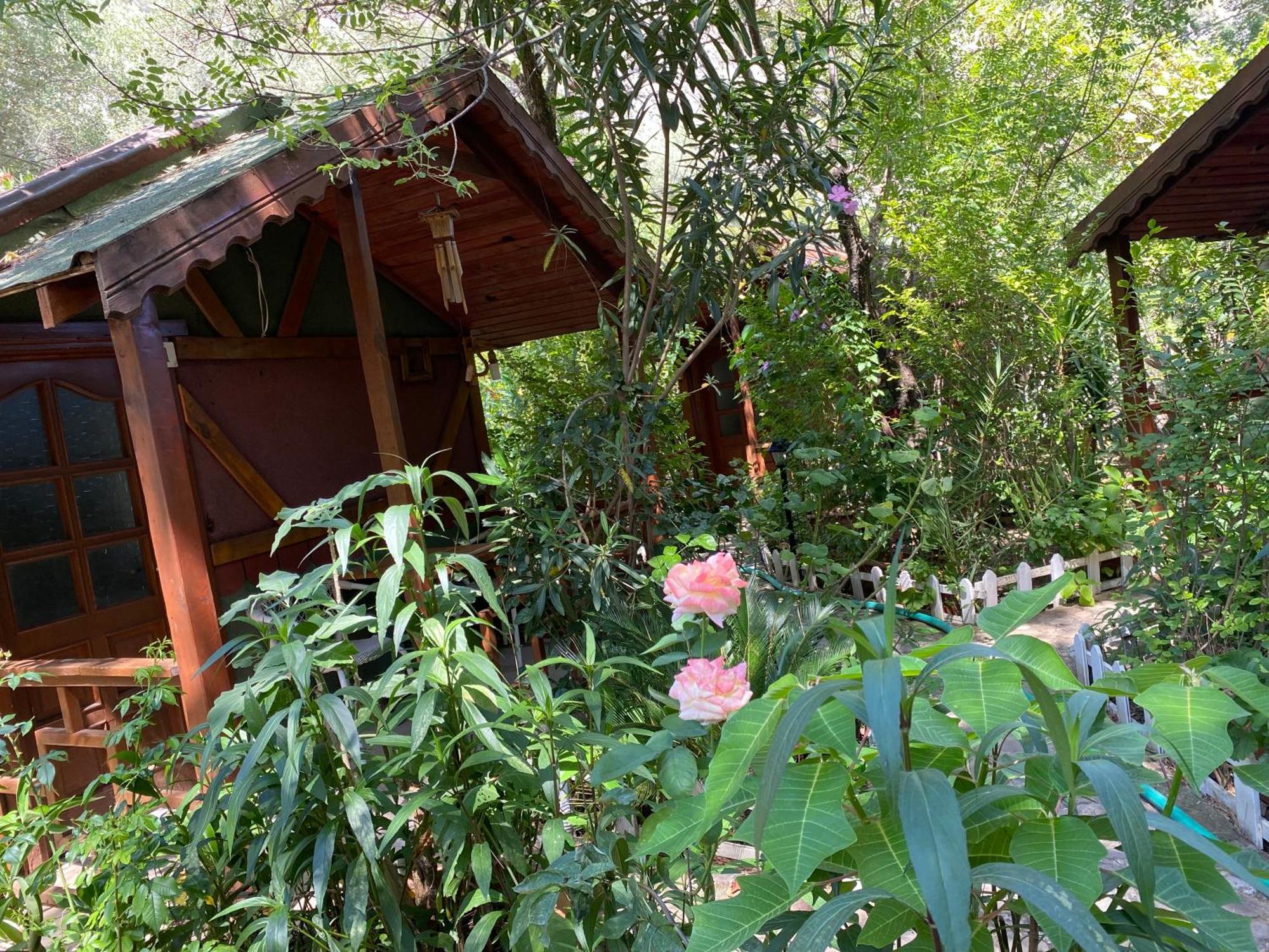 Canario Bungalows Чирали Экстерьер фото