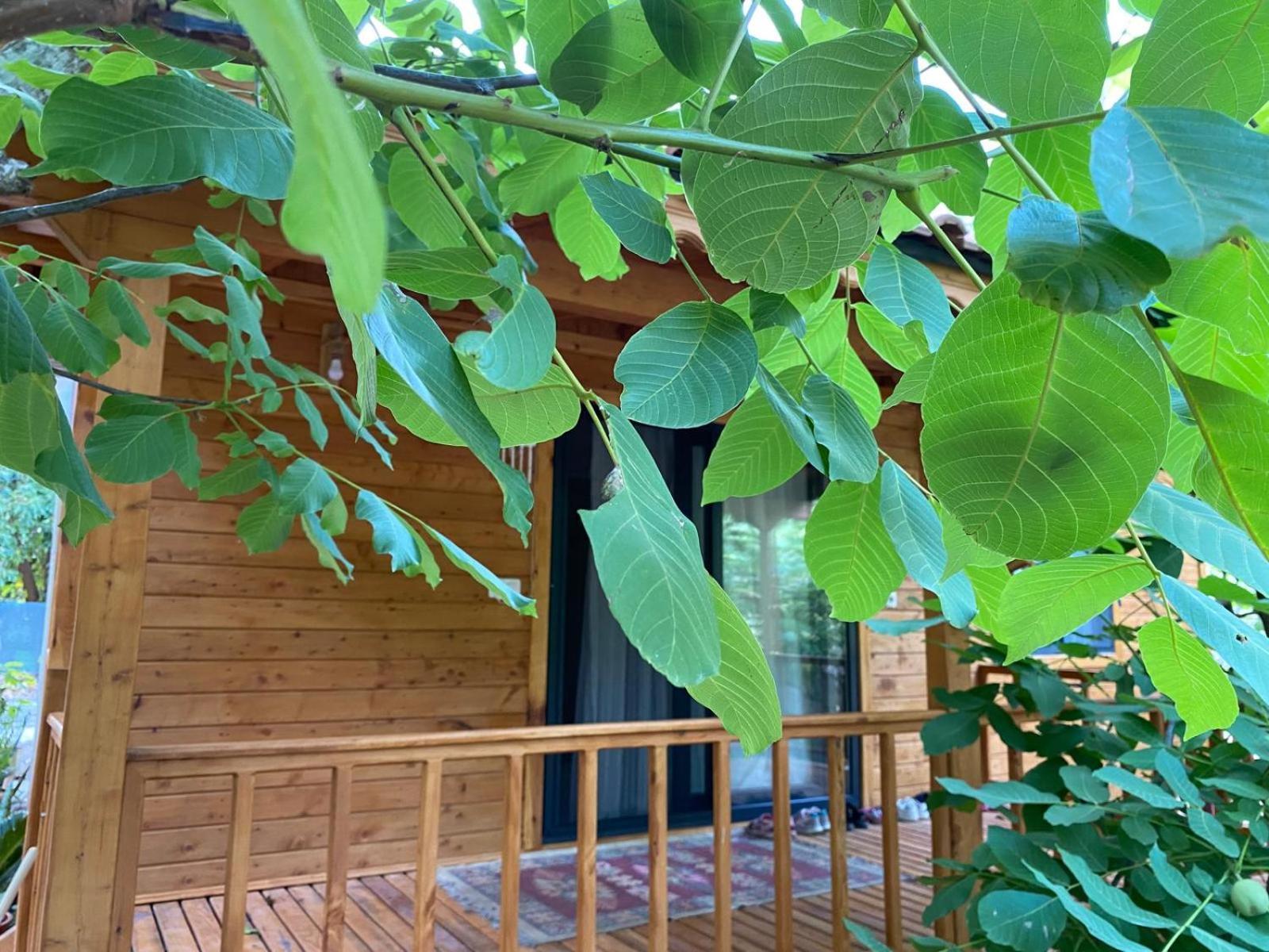 Canario Bungalows Чирали Экстерьер фото